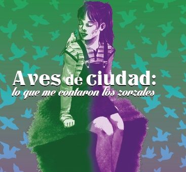 Aves de ciudad: lo que me contaron los zorzales | Daniela A. Sánchez For Sale