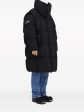 X Chen Peng High-Neck Padded Coat Supply